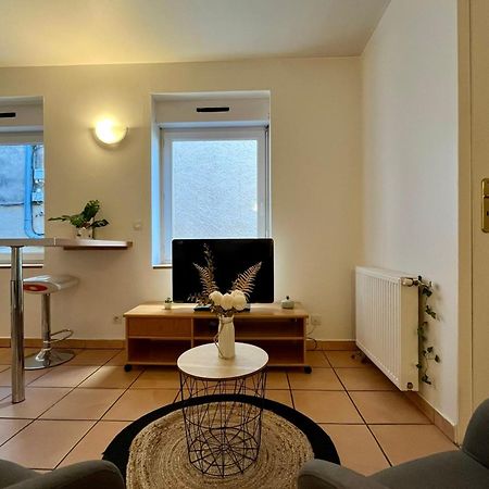 Le Studio Theolier Downtown - Close To Pedestrian Street ตูร์นง-โซร์-โฮน ภายนอก รูปภาพ