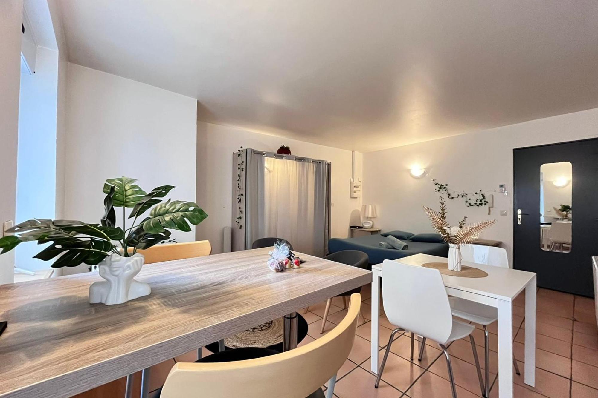 Le Studio Theolier Downtown - Close To Pedestrian Street ตูร์นง-โซร์-โฮน ภายนอก รูปภาพ