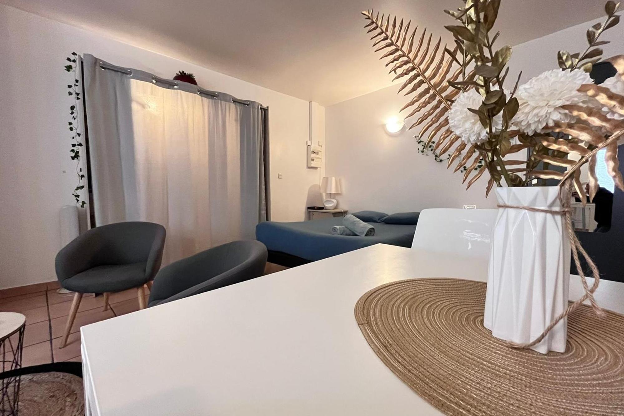 Le Studio Theolier Downtown - Close To Pedestrian Street ตูร์นง-โซร์-โฮน ภายนอก รูปภาพ