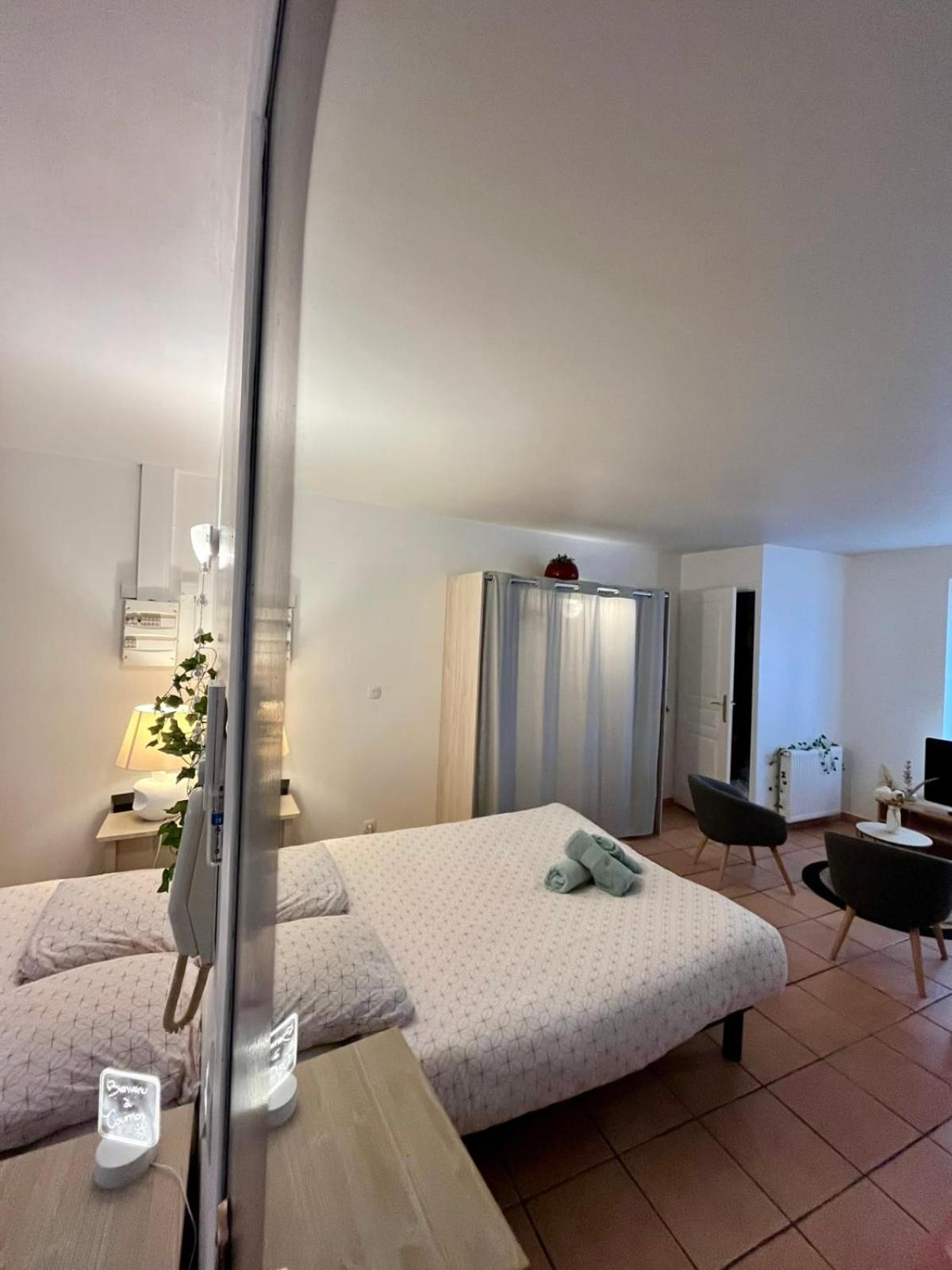 Le Studio Theolier Downtown - Close To Pedestrian Street ตูร์นง-โซร์-โฮน ภายนอก รูปภาพ