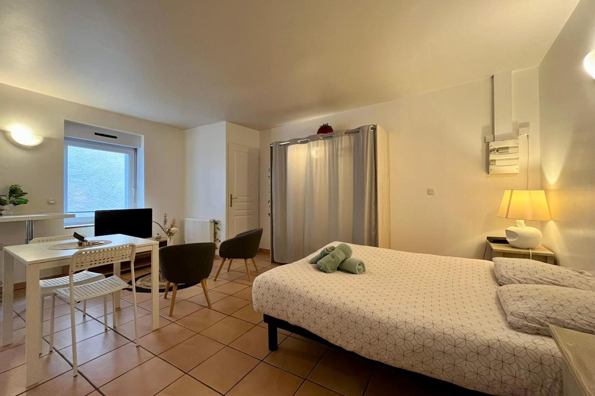 Le Studio Theolier Downtown - Close To Pedestrian Street ตูร์นง-โซร์-โฮน ภายนอก รูปภาพ