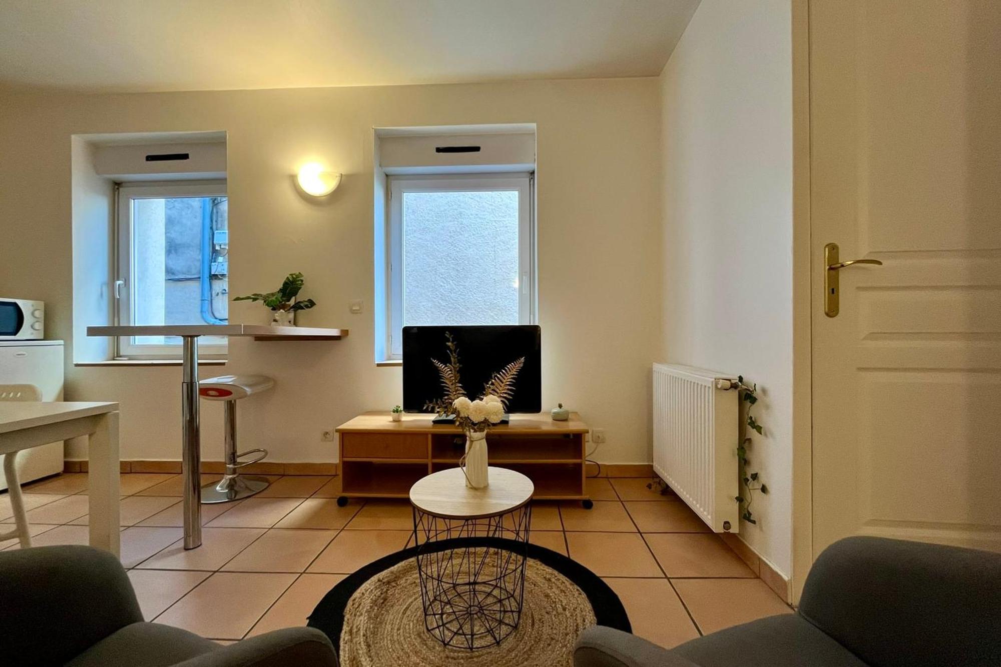 Le Studio Theolier Downtown - Close To Pedestrian Street ตูร์นง-โซร์-โฮน ภายนอก รูปภาพ