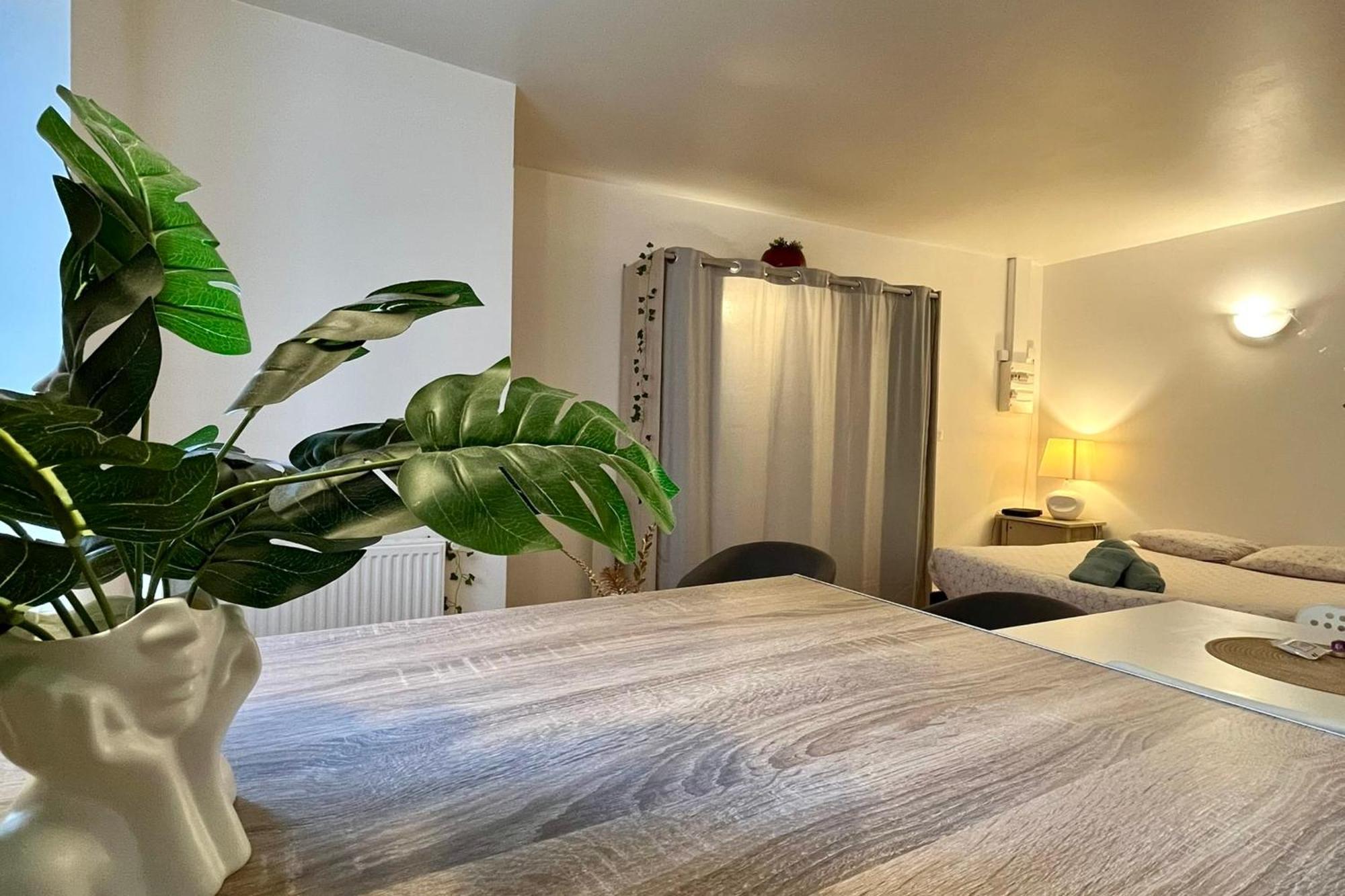 Le Studio Theolier Downtown - Close To Pedestrian Street ตูร์นง-โซร์-โฮน ภายนอก รูปภาพ